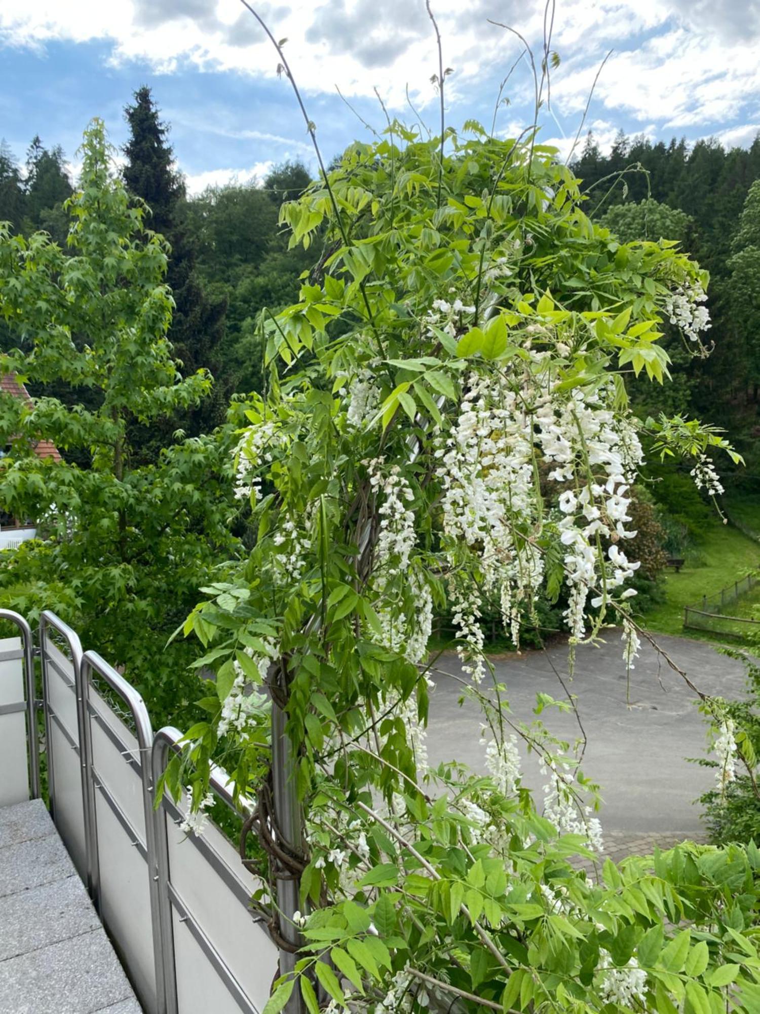 Ferienhof Kroeger Bielefeld Esterno foto